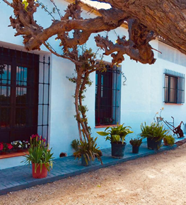 Casa Rural La Morera
